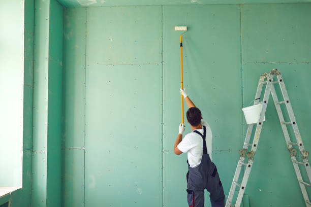 Professional Mold Removal in Evart, MI