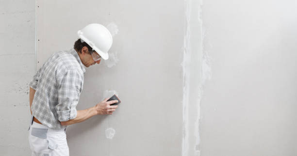 Best Biohazard Mold Removal  in Evart, MI