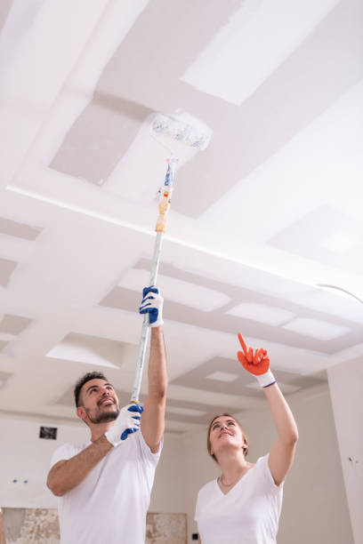 Biohazard Mold Removal in Evart, MI