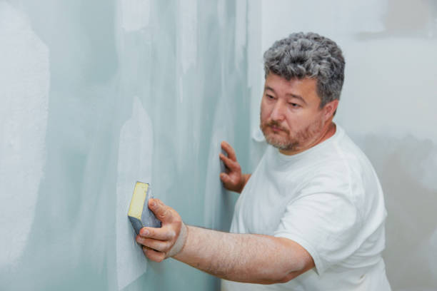 Best Forensic Mold Investigation  in Evart, MI