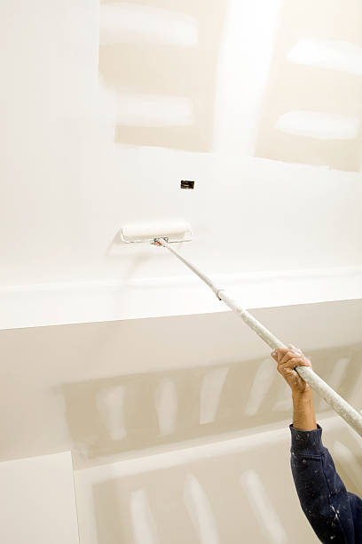 Best Mold Documentation for Insurance Claims  in Evart, MI